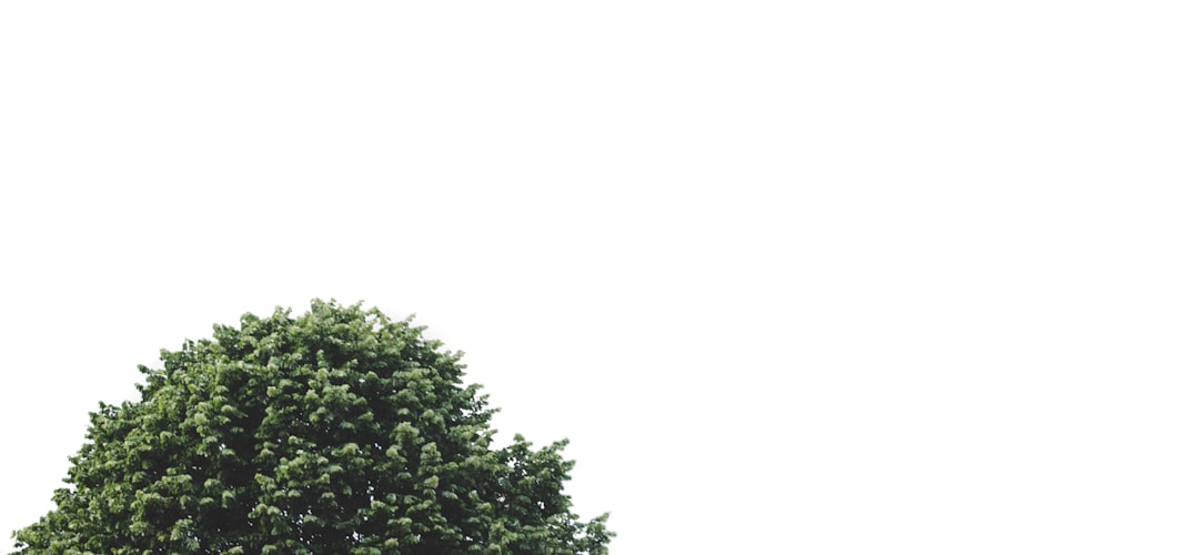 Kopia, how to set up Kopia backups, Kopia backup policy and retention best practices